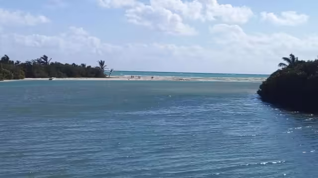 La reserva tiene una riqueza sin igual en todo el mundo y puede explotarse turísticamente con bajo impacto, con actividades como la observación de aves