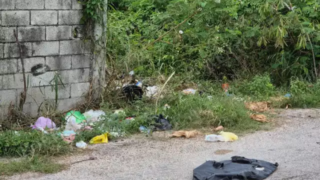 Vecinos y estudiantes piden la intervención urgente del Ayuntamiento ante el tiradero clandestino que genera olores insoportables.