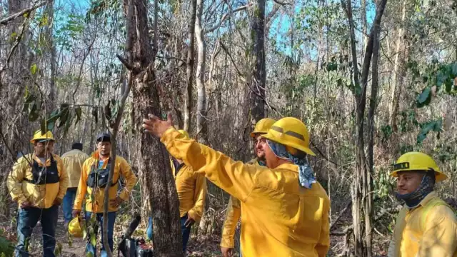 Es el incendio más grande de los cinco que ha sido registrado en esta temporada el año 2024