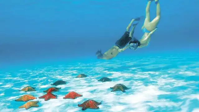 Esta playa forma parte del segundo sistema de arrecifes más grande del mundo