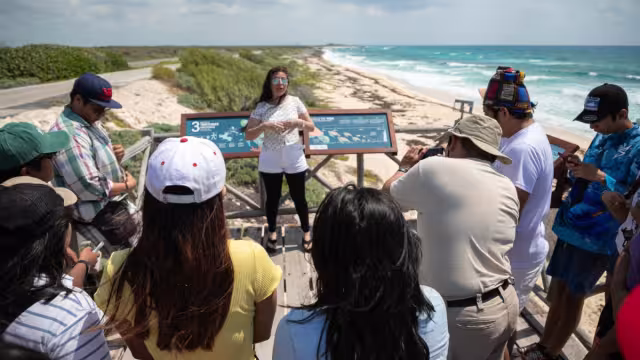 En Cozumel se tomaron varias medidas, como instalación de cámaras, una estación meteorológica y de ciencia ciudadana en los miradores
