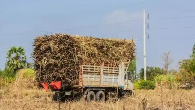 El hombre murió al instante