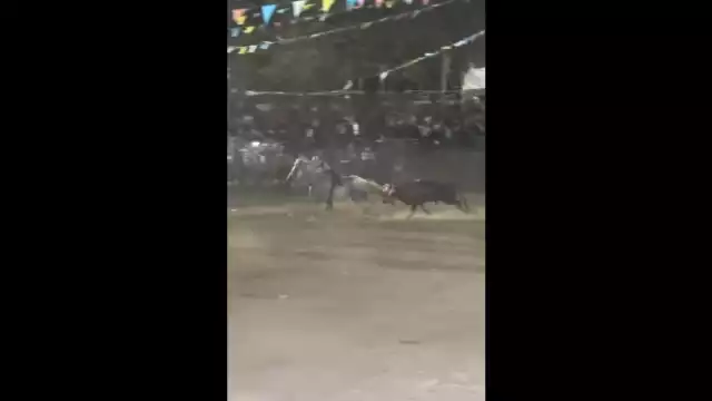 Toro persigue a vaquero durante la fiesta tradicional de San Isidro labrador