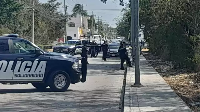 Los trabajdores lo encontraron mientras trabajaban en el terreno