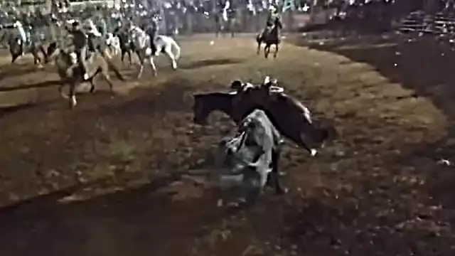 El cuerpo del caballo fue abandonado en el basurero municipal de Kimbilá