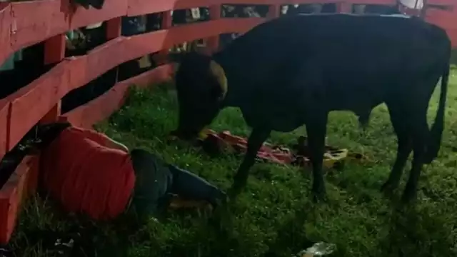 Ingresó al ruedo habilitado para de la Fiesta Tradicional.