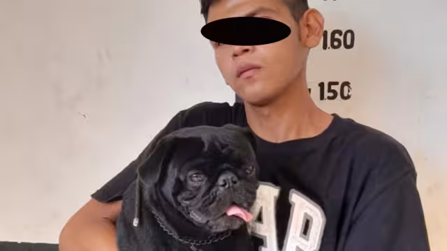 Al detenerlo, el joven hirió a un policía con un desarmador