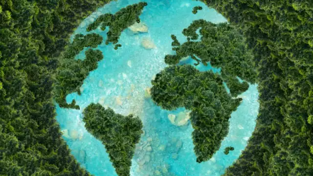 La deforestación provoca el 17% de las emisiones de carbono en el mundo