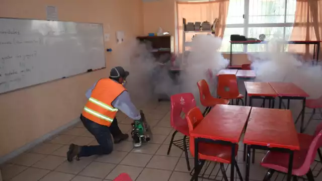 Carmen, Candelaria y Escárcega principales municipios con presencia de Dengue