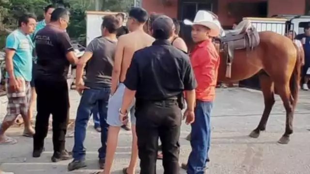 El caballo arrastraba una reja con la cual hirió al menor