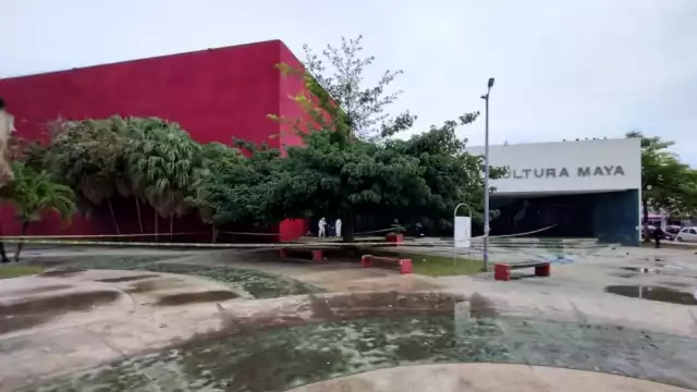 El lugar fue acordonado por elementos del Semefo de Quintana Roo