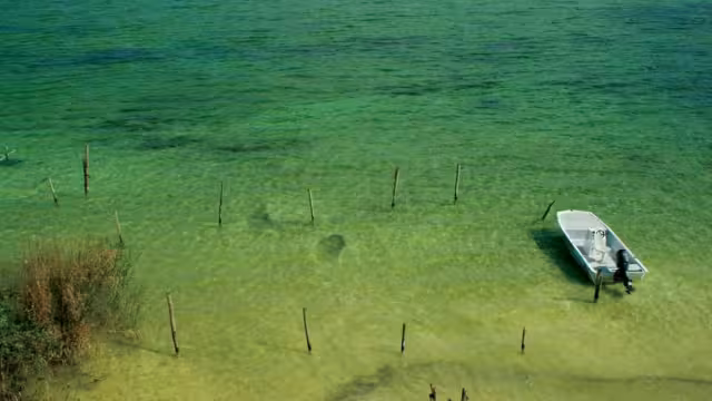 El proyecto 'Casa Habitación Zula' consiste en el cambio de uso de suelo de una superficie de mil 108.20 metros cuadrados