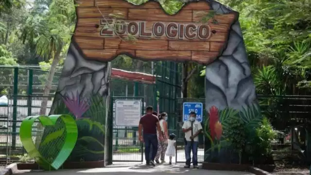 El zoológico no abre los días lunes