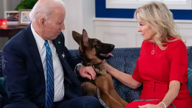 El perro llegó de cachorro, hoy tiene 22 meses. Foto: Especial