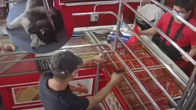 El peludito no se molestó en despertar ante la 'emergencia'. Foto: Especial