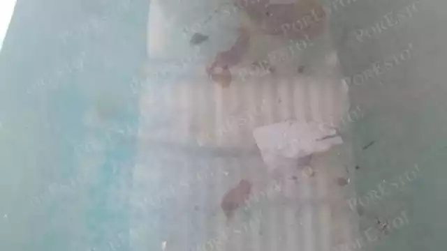 Pobreza obliga a familias a beber agua no purificada en Carmen