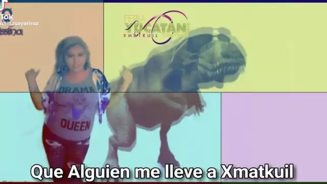 La tiktoker ha inundado las redes sociales con el video viral