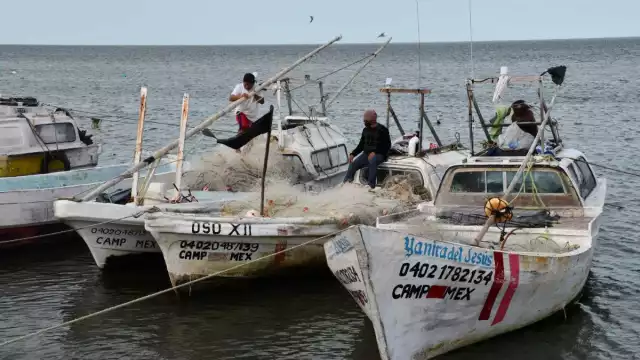 Campechanos amanecen con lluvias y frio esta mañana de jueves