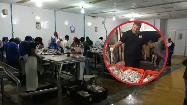 Familiares estarían involucrados en la estafa millonaria