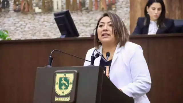 La diputada Manuela Cocom Bolio, al hablar a favor de esta iniciativa señaló que Yucatán es reconocido por un sinfín de elementos