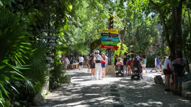 Muchos cancunenses no conocen estos lugares por su precio excesivo