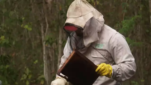 La esperanza por ahora es que los frentes fríos ingresen con lluvias para la Entidad