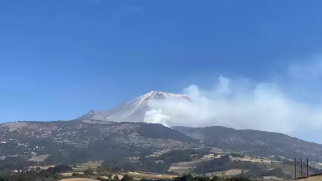 Las autoridades detallaron que el incendio pudo haber sido provocado