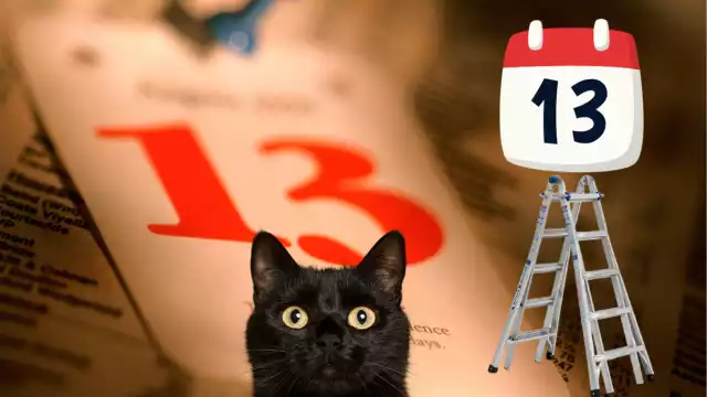 De buena o mala suerte. Foto: Especial