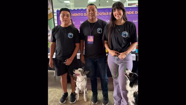 Asimismo, se tendrá la exhibición y competencia de Gallos Azteca o gallos miniatura