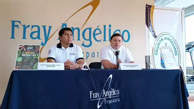 Campeche alberga un impresionante conjunto de 56 especies de serpientes