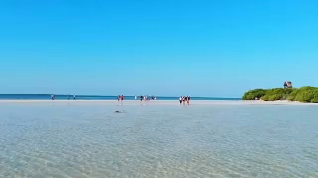 Para las próximas vacaciones auguran un importante repunte.