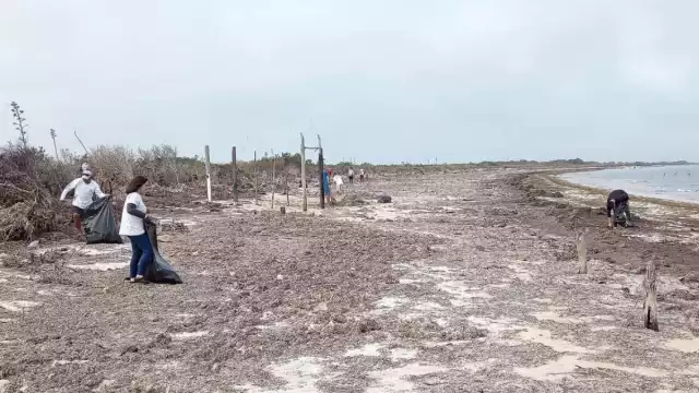 En esta ocasión se les dio prioridad a las playas de la zona costera ante la cercanía del período vacacional