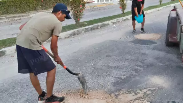 Labor comunitaria en Candelaria: compactadora y voluntarios contra los baches