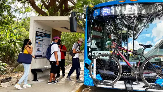 El Imdut destacó que se puso en marcha el transporte desde el 15 de julio y cuenta con 30 unidades que recorren la ciudad de un extremo a otro