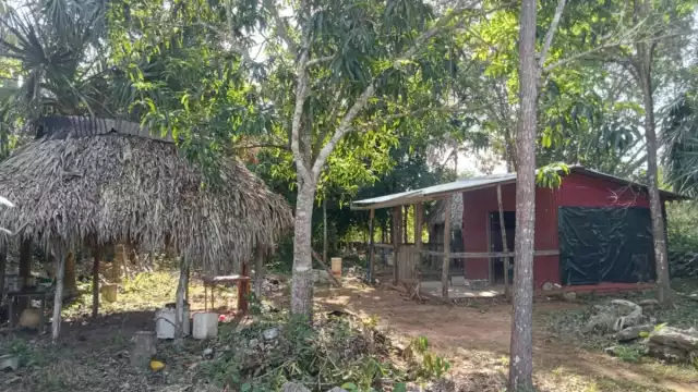 Falleció entre las 11 de la noche a 2 de la mañana.