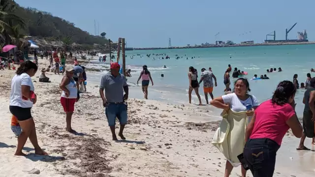 La intensa movilidad ha beneficiado a los comerciantes