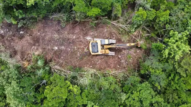 La Semabicce trabaja en delimitar el polígono afectado