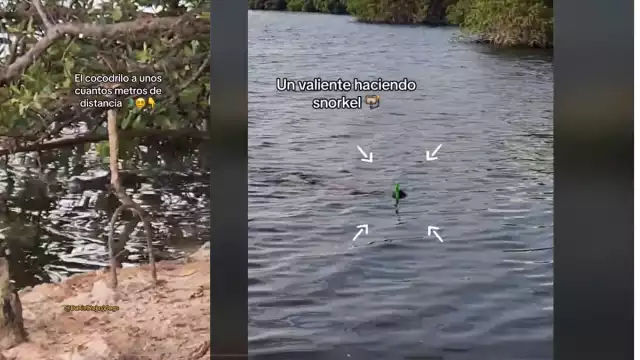 El pescador dijo que es muy a menudo se encuentra con los reptiles