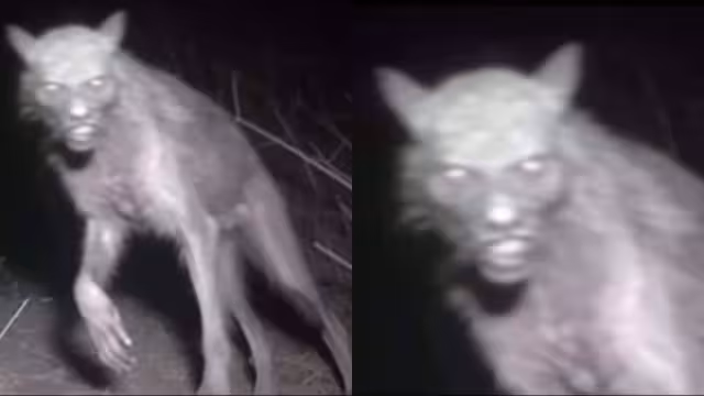 Se rumora que la imagen fue creada con Inteligencia Artificial