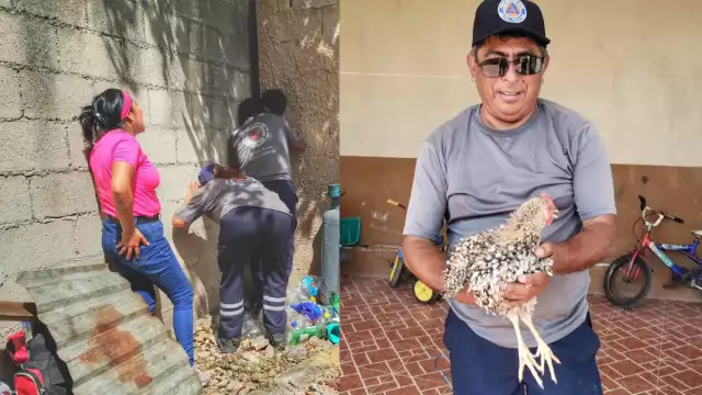 Elementos de Protección Civil llegaron a la casa para rescatar a la gallina