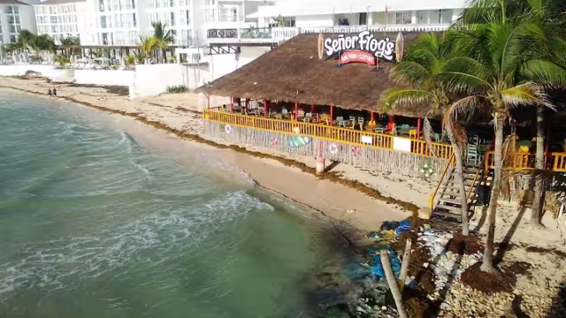 Hay muchos temas a tratar para que Playa del Carmen sea amigable con la comunidad LGBTIAQ+.