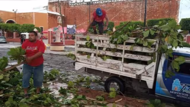 Protección Civil se ha encargado de la recolección de árboles en las calles