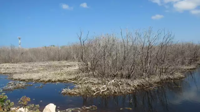 Autoridades correspondientes para tomar consciencia del estado actual de la reserva de la biosfera