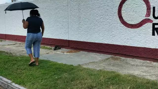 Los restos se convirtieron en un foco de infección frente a una escuela secundaria.