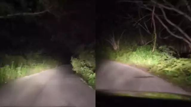 La vía Tixkokob-Sotuta se encuentra en mal estado