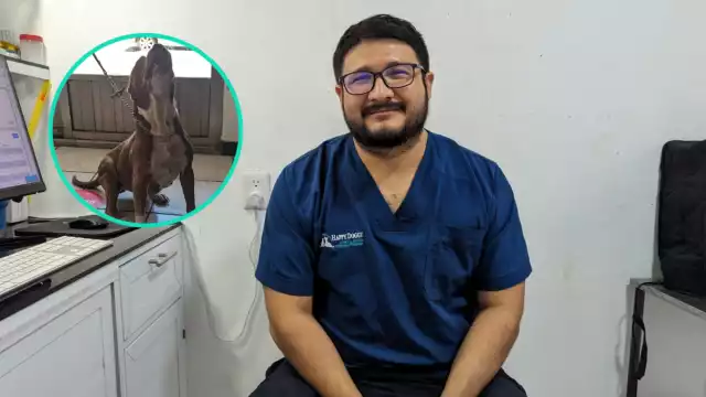 El veterinario, Henry Tzuyub, nos cuenta cómo debe ser el cuidado específico con nuestras mascotas en esta tercera ola de calor