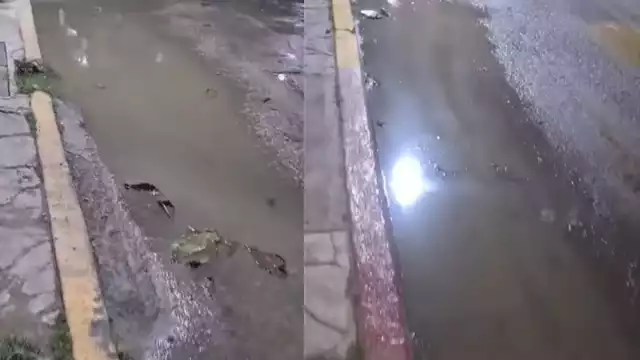 Las aguas negras eventualmente llegan al océano, afectando el arrecife y los pastos.