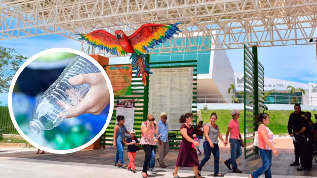 Será de 8 am a 11 pm