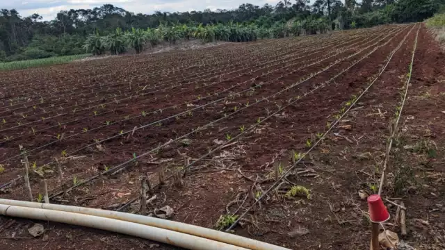 La comunidad se encuentra a 15 kilómetros de la cabecera municipal.