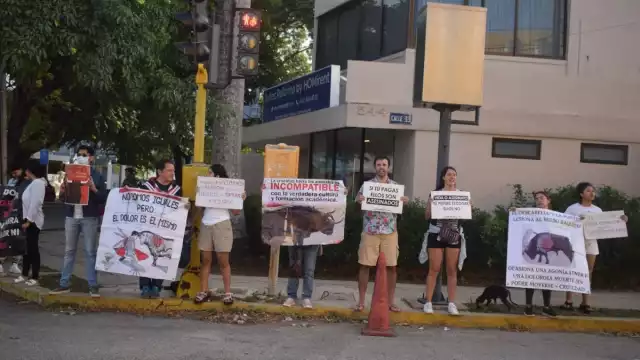 Así se vivieron las protestas del grupo antitaurino en la Plaza Mérida